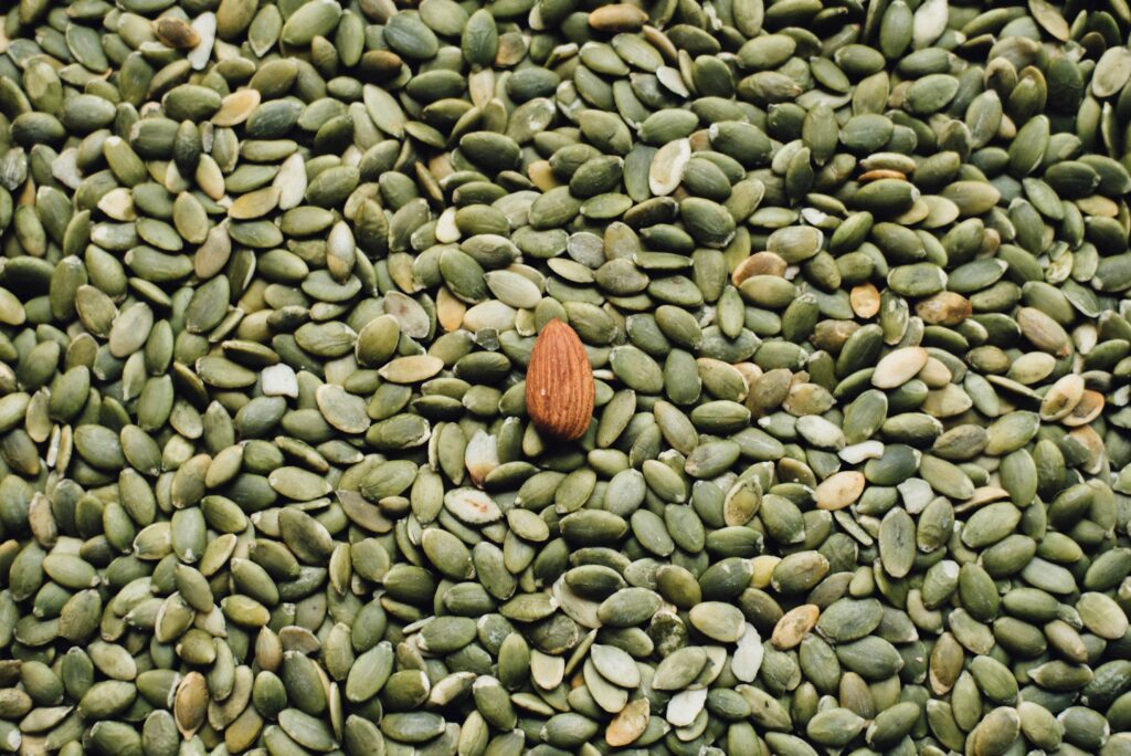 Nährstoffe vegan decken - Nüsse und Samen Nüsse gesund